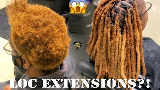 Loc Extension Tutorial Crochet Method [upl. by Etiuqal783]