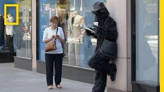 Walking While Texting  Crowd Control [upl. by Elladine768]