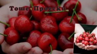 Tose Proeski Cresa  Tоше ПроескиЦреша lyrics [upl. by Assilam934]