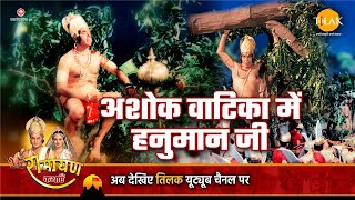 रामायण कथा अशोक वाटिका में हनुमान जी [upl. by Evot]