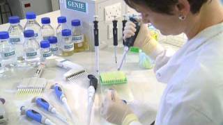 Using a Micropipette  University of Leicester [upl. by Nayek]