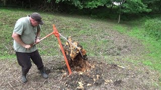 Pulling up a Large Old Stump with a Farm Jack [upl. by Enyawal197]