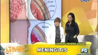 What is Meningitis [upl. by Gavra796]