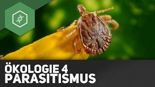 Parasitismus – Ökologie 4 [upl. by Aggappera]