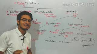 Classification of Phylum Chordata into subsequent categories [upl. by Fein]