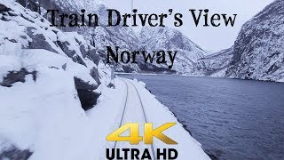 TRAIN DRIVERS VIEW Bergen  Myrdal on a windy Saturday in 4K UltraHD [upl. by Niwrud35]