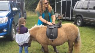 Saddle Fitting for Shetland Ponies [upl. by Naarah]