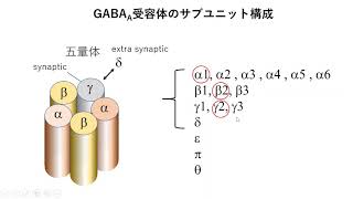 GABA受容体（イオンチャネル型） [upl. by Danyelle]