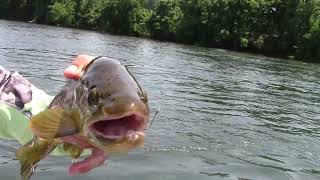 First Time on the NEW XPRESS BAY BOAT and I almost had the LAKE RECORD SPOTTED BASS [upl. by Kelwen]