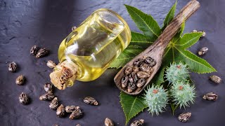 Homemade Castor Oil Made From Scratch [upl. by Akoyn301]