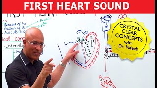 S1 Heart Sounds and Murmurs  First Heart Sound  Dr Najeeb🫀 [upl. by Ermin]