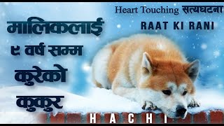 Hachi A Dogs Tale Explained 2009 Imdb  89 [upl. by Gweneth177]