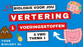 6 vwo  Vertering  1  Voedingsstoffen [upl. by Shena]