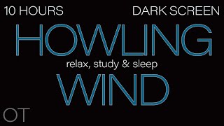 HOWLING WIND Sounds for Sleeping Relaxing Studying BLACK SCREEN Real Storm Sounds 10 HOURS [upl. by Toland974]