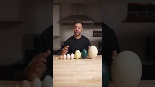 I Cooked the World’s CRAZIEST Eggs [upl. by Eillime501]