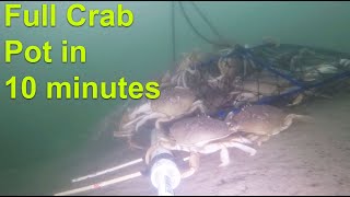 Full Crab Pot in 10 Minutes [upl. by Urial]