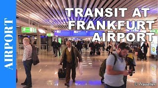 TRANSIT WALK AT FRANKFURT Airport FRA Terminal 1  Connection Flight Transfer Arriving amp Departing [upl. by Droflim870]