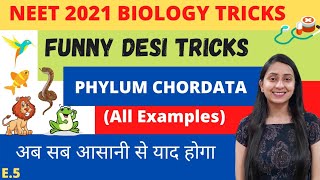 NEET BIOLOGY TRICKS PHYLUM CHORDATA [upl. by Nwahsud18]