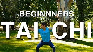 Tai Chi for Beginners Lesson 1 Basic Training [upl. by Nnaytsirk535]