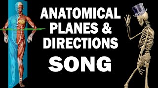 ANATOMICAL PLANES AND DIRECTIONS SONG [upl. by Reitrac]