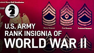 US Army Rank Insignia of WW2 [upl. by Sollows]