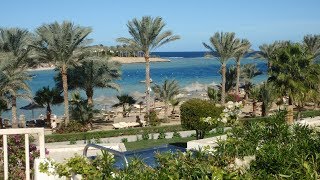 Egypt 201920  hotel Royal Brayka Beach [upl. by Maxi834]