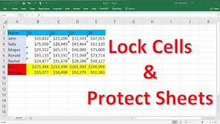 How To Lock Individual Cells and Protect Sheets In Excel [upl. by Eneleh]