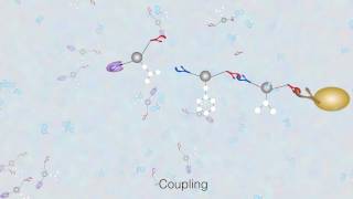 Solid Phase Peptide Synthesis  The Basics [upl. by Mayman354]