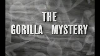 The Gorilla Mystery 1930  burlap reissue titles [upl. by Pascoe]