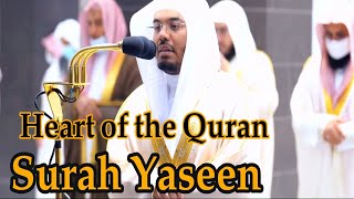 Surah Yaseen with English translation  Sheikh Yasser al Dossari Beautiful Recitation [upl. by Ragde]