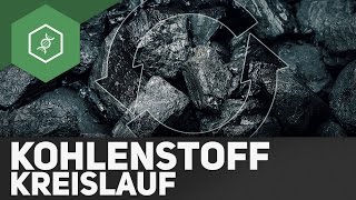 Kohlenstoffkreislauf – Stoffkreisläufe 3 [upl. by Aushoj]