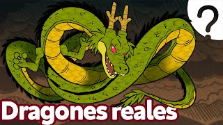 8 Tipos de DRAGONES 🐉 ¿Cuál es la Casa del Dragón [upl. by Adran]