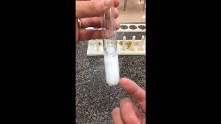 Reactions Lab Station 5  CaCl2 and Na2CO3 [upl. by Manny]