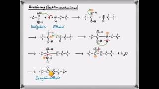 Veresterung Reaktionsmechanismus [upl. by Zilef]