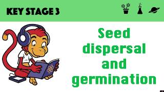 Germination and seed dispersal [upl. by Nahtanod847]