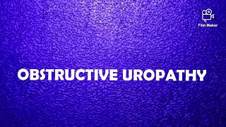 Obstructive Uropathy [upl. by Eynahpets]