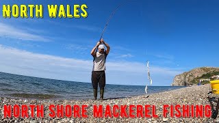 Mackerel Fishing at North Shore LLANDUDNO  North Wales  July 2021 [upl. by Efthim410]