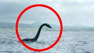 Mysterious Loch Ness Monster [upl. by Icyak]