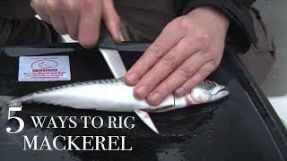 5 Ways to Rig a Mackerel [upl. by Martita]