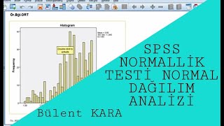 SPSS NORMALLİK TESTİ NORMAL DAĞILIM  Kolmogorov Smirnov ShapiroWilk Testleri SkewnessKurtosis [upl. by Posehn]