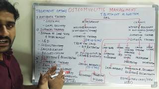 Osteomyelitis management  Algorithm [upl. by Faxen193]