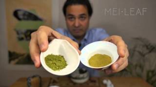 Everything you need to know about Matcha [upl. by Attenyw925]